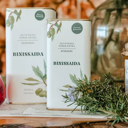 Hotel Binissaida Boutique 4*