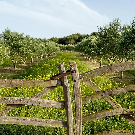 Binissaida Boutique Ξενοδοχείο Ες Καστέλ