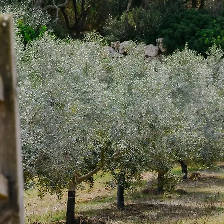 Binissaida Boutique Ξενοδοχείο