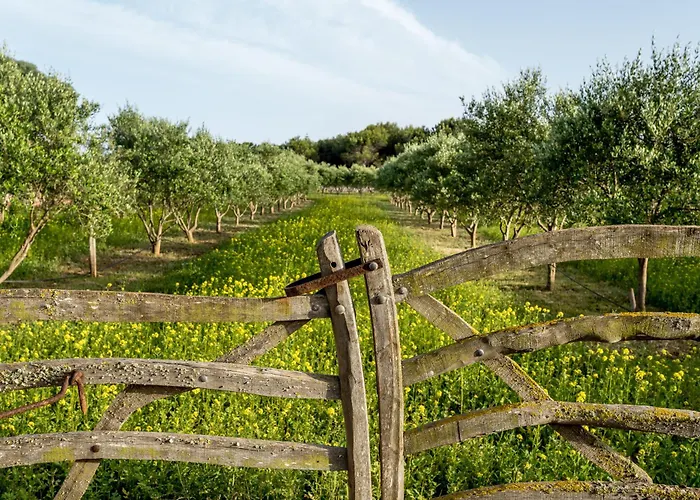 Binissaida Boutique Hotel Es Castell (Menorca)