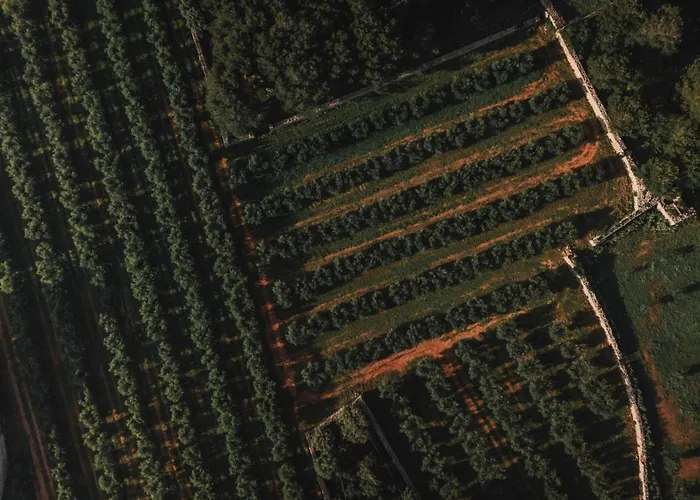 Binissaida Boutique Hotel 4*