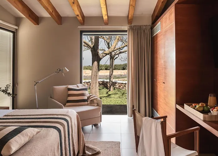 Hotel Binissaida Boutique 4*