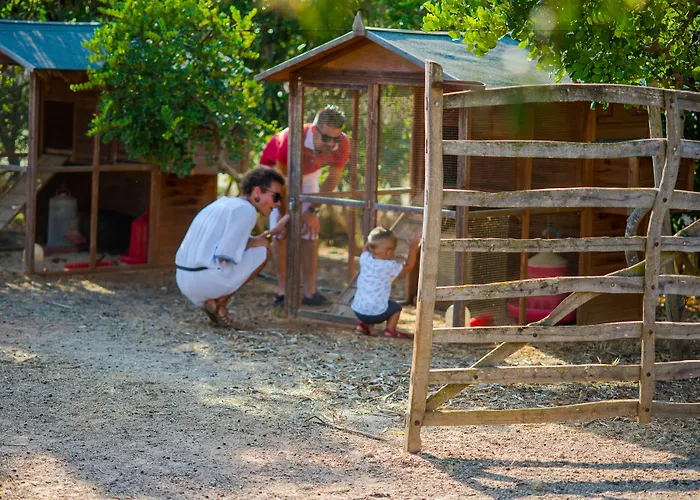 Hotel Binissaida Boutique