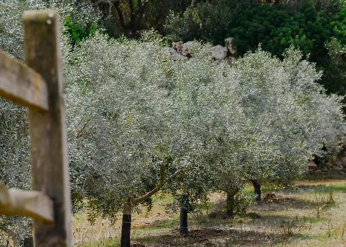 Binissaida Boutique Hotel