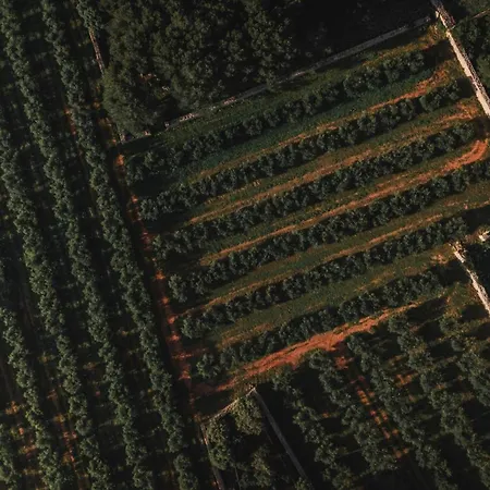 Binissaida Boutique Hotel 4*