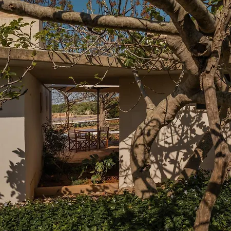 酒店 Binissaida Boutique 埃斯卡斯特利