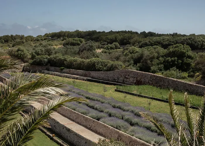 Binissaida Boutique 4*